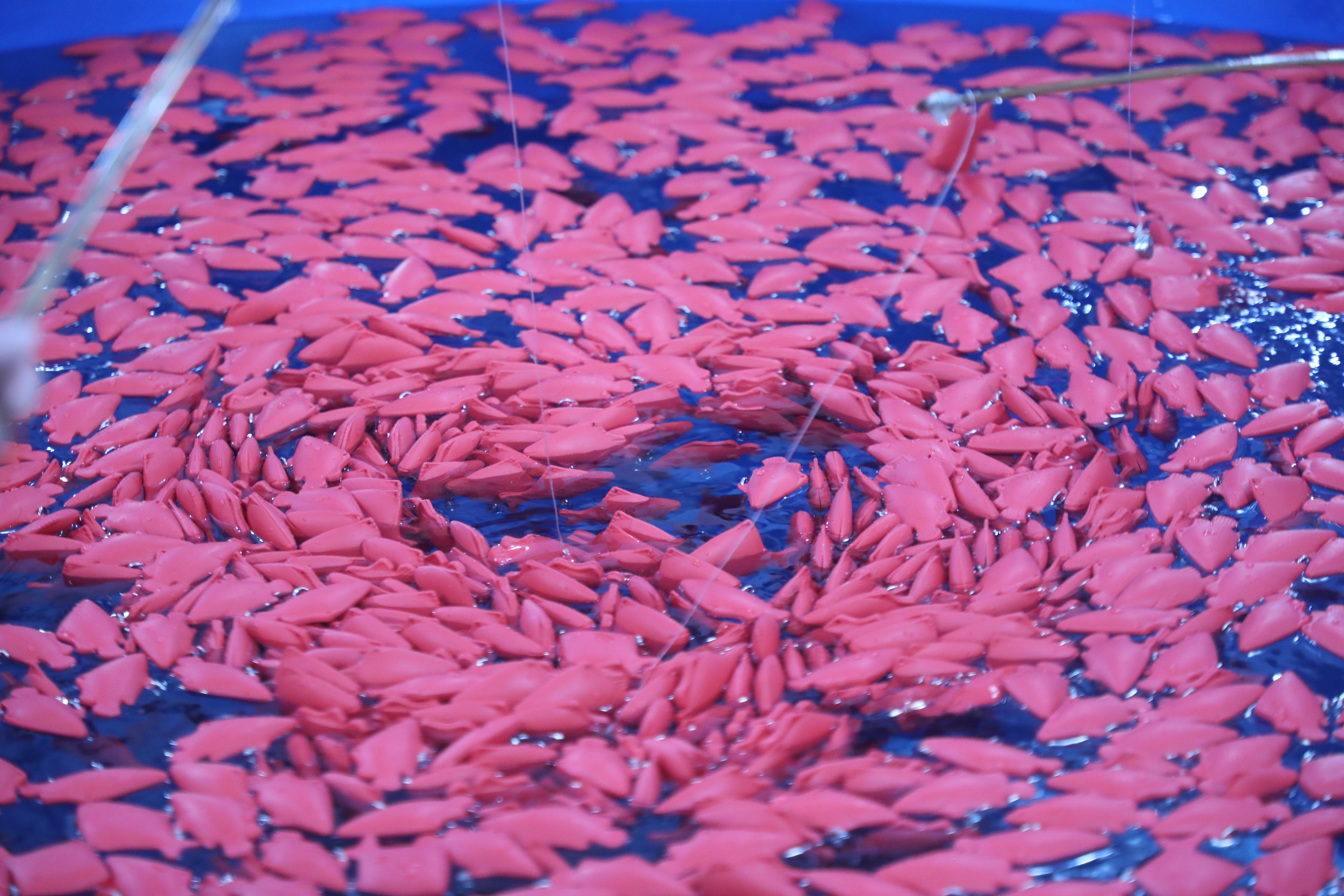 title - ส.ป.ก. ร่วมออกร้าน ภายในบูธกระทรวงเกษตรและสหกรณ์ งานกาชาด ประจำปี 2568